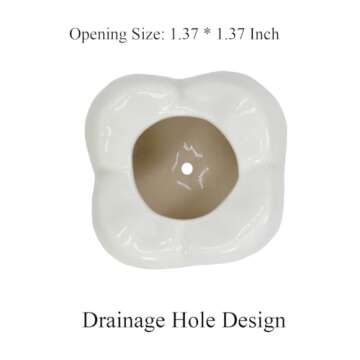 Gemseek Cute Tooth Succulent Planter Pot with Drainage Tray, White Ceramic Cactus Flower Container, Small Indoor Air Plant Holder for Dental Office Decor