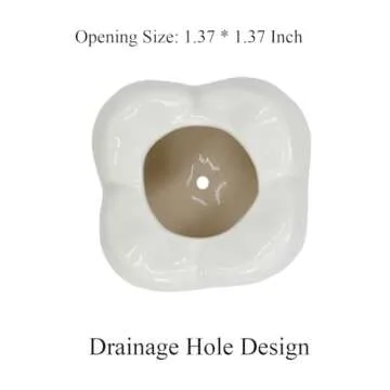 Gemseek Cute Tooth Succulent Planter Pot with Drainage Tray, White Ceramic Cactus Flower Container, Small Indoor Air Plant Holder for Dental Office Decor