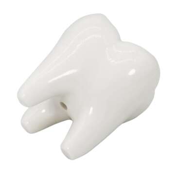 Gemseek Cute Tooth Succulent Planter Pot with Drainage Tray, White Ceramic Cactus Flower Container, Small Indoor Air Plant Holder for Dental Office Decor