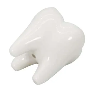 Gemseek Cute Tooth Succulent Planter Pot with Drainage Tray, White Ceramic Cactus Flower Container, Small Indoor Air Plant Holder for Dental Office Decor