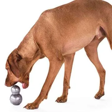 Durable Interactive Dog Toy for Fresh Breath and Fun