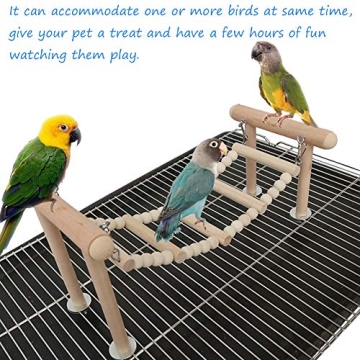 Buy kathson Wooden Bird Ladders for Active Pet Fun