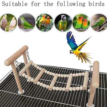 Buy kathson Wooden Bird Ladders for Active Pet Fun