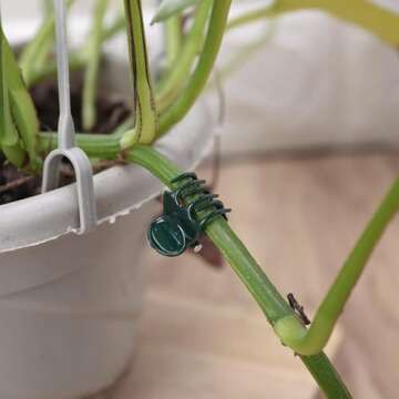 AccEncyc 100 Pcs Plant Clips for Supporting Stems