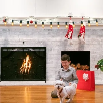 Abeja C9 White Ceramic Christmas String Lights for Festive Decor