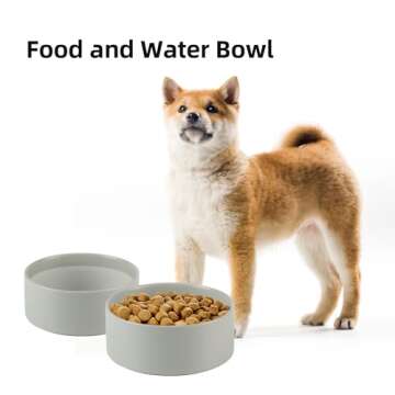 Havniva Non-Slip Ceramic Dog Bowl - Small & Medium Dog Feeding Bowl, Protects Cervical Spine (6in, Grey)