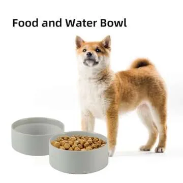 Havniva Non-Slip Ceramic Dog Bowl - Small & Medium Dog Feeding Bowl, Protects Cervical Spine (6in, Grey)