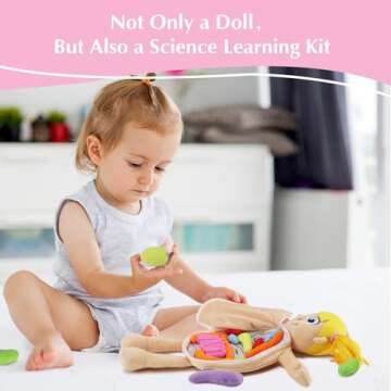 vocheer Human Body Anatomy Toy, Montessori Preschool Educational Organ Plush Toys for Kids, Science ...