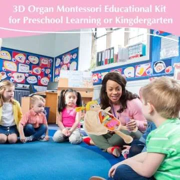 vocheer Human Body Anatomy Toy, Montessori Preschool Educational Organ Plush Toys for Kids, Science Learning Kits for Student, Body Organ Awareness Teaching Tools for Girls