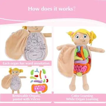 vocheer Human Body Anatomy Toy, Montessori Preschool Educational Organ Plush Toys for Kids, Science Learning Kits for Student, Body Organ Awareness Teaching Tools for Girls