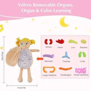 vocheer Human Body Anatomy Toy, Montessori Preschool Educational Organ Plush Toys for Kids, Science Learning Kits for Student, Body Organ Awareness Teaching Tools for Girls