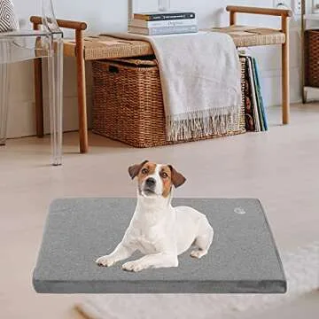 Stylish Reversible Dog Bed Mat for All Seasons