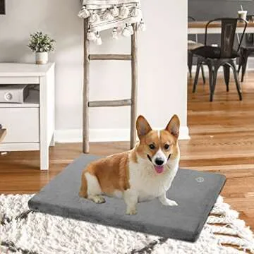Stylish Reversible Dog Bed Mat for All Seasons