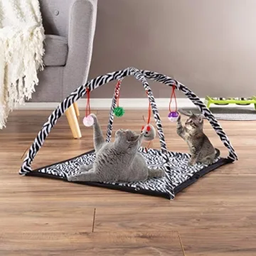 PETMAKER Cat Activity Center for Interactive Feline Fun
