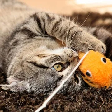 PETMAKER Cat Activity Center for Interactive Feline Fun