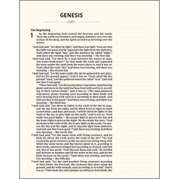 NIV, Artisan Collection Bible for Girls, Cloth over Board, Multi-color, Art Gilded Edges, Red Letter, Comfort Print