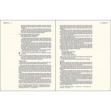 NIV, Artisan Collection Bible for Girls, Cloth over Board, Multi-color, Art Gilded Edges, Red Letter, Comfort Print