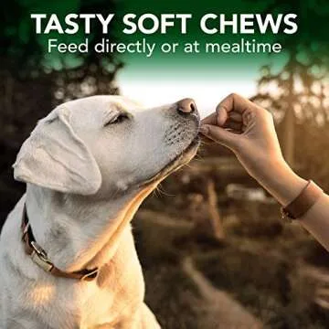 Vet's Best Allergy Soft Chews for Dogs, 30 Day Supply