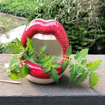 lemonadeus Multi-role Ceramic Sexy Lips Planter Stylish Lip Pot/Gadget Storage Mouth Planter Unique Ash Tray Ceramic Container (Red)