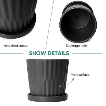 Stylish Greenaholics Ceramic Plant Pots with Drainage