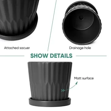 Stylish Greenaholics Ceramic Plant Pots with Drainage