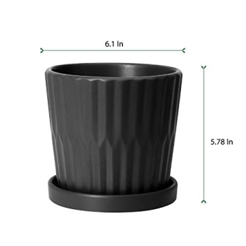 Stylish Greenaholics Ceramic Plant Pots with Drainage