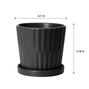 Stylish Greenaholics Ceramic Plant Pots with Drainage