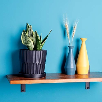 Stylish Greenaholics Ceramic Plant Pots with Drainage