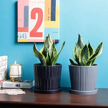 Stylish Greenaholics Ceramic Plant Pots with Drainage