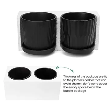 Stylish Greenaholics Ceramic Plant Pots with Drainage