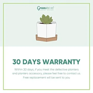 Stylish Greenaholics Ceramic Plant Pots with Drainage