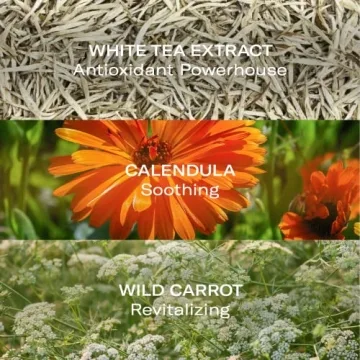 Luxurious Odacité Oleosomes Hydrating Face Cream - Anti-Aging Moisturizer