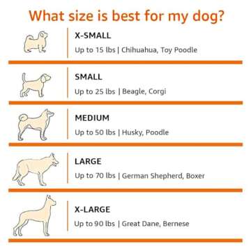 Amazon Basics 2-Door Portable Soft-Sided Folding Soft Dog Travel Crate Kennel, Medium (M 30" x 21" x 21"), Tan