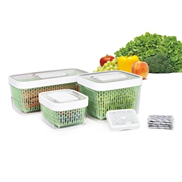 Keep Produce Fresh with OXO GreenSaver Keeper - 4.3 Qt