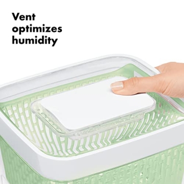 Keep Produce Fresh with OXO GreenSaver Keeper - 4.3 Qt