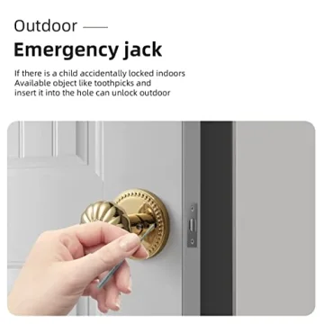 JIASENBAO Gold Door Knobs for Bedroom & Bathroom Privacy