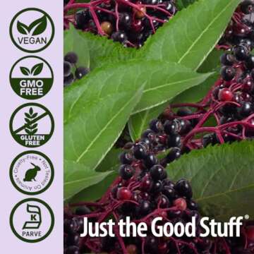 Nature's Answer Sambucus Elderberry Syrup for Immune Support