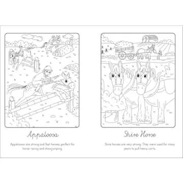 Creative Fun with Manes and Tails Paint with Water Book