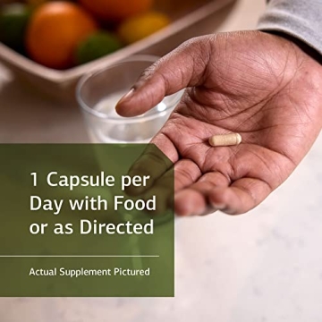 Ferrofood Iron Supplement for Healthy Blood and Energy