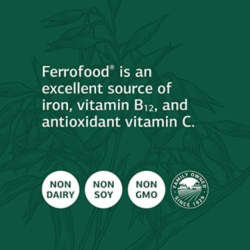 Ferrofood Iron Supplement for Healthy Blood and Energy