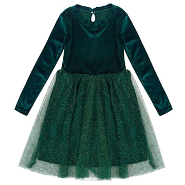 Tutu Dreams Girls Velvet Tulle Dress for Parties