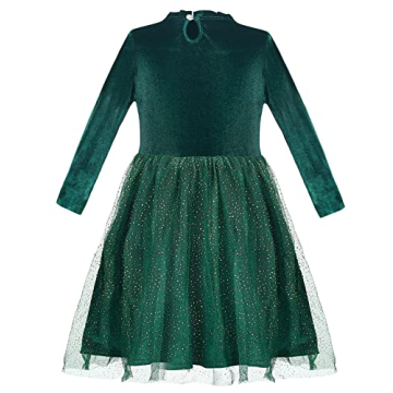 Tutu Dreams Girls Velvet Tulle Dress for Parties