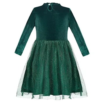 Tutu Dreams Girls Velvet Tulle Dress for Parties