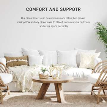 Fixwal 2-Pack Decorative Polyester Pillow Inserts