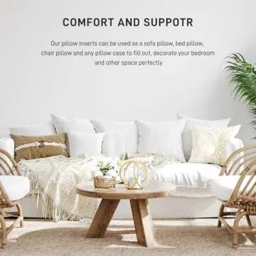 Fixwal 2-Pack Decorative Polyester Pillow Inserts