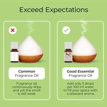 Good Essential Professional Pomegranate Fragrance Oil 30 ml (1 fl oz) for Diffuser, Soaps, Candles, Perfume, Aromatherapy & Candle Making