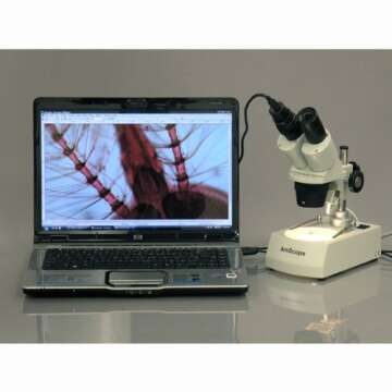 AmScope SE306R-PZ Forward Binocular Stereo Microscope with Dual Halogen Lighting