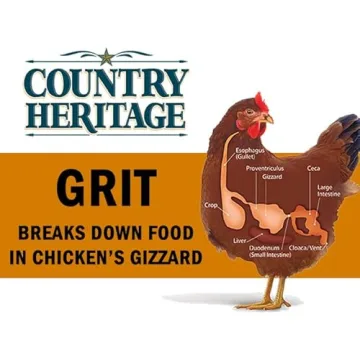 Natural Poultry Grit for Chickens Ducks Digestive Support