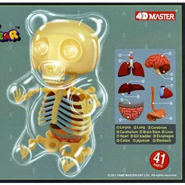 4D Master Gummi Bear Skeleton Anatomy Model Kit, Clear