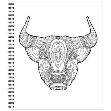 Color & Frame - Painted Deserts (Adult Coloring Book)